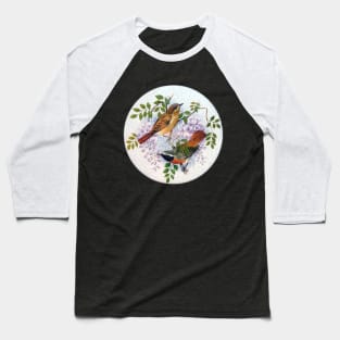 Garden Birds on Porcelain, Baseball T-Shirt